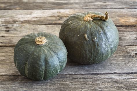 buttercup-squash-facts-learn-how-to-grow-buttercup image