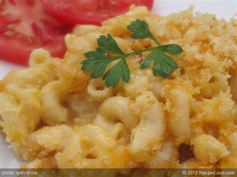 three-cheese-baked-macaroni-recipe-recipelandcom image