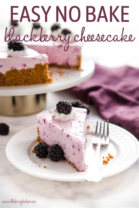 no-bake-blackberry-cheesecake-the-busy image