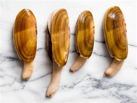 pacific-razor-clams-how-to-catch-clean-and-cook-them image