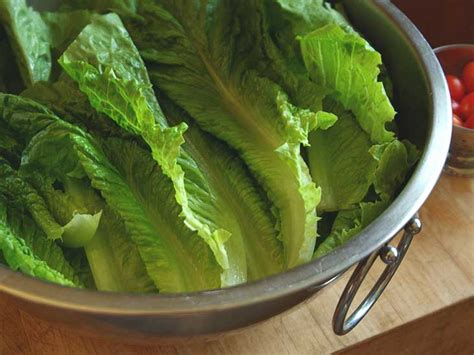 romaine-lettuce-nutrition-calories-and image