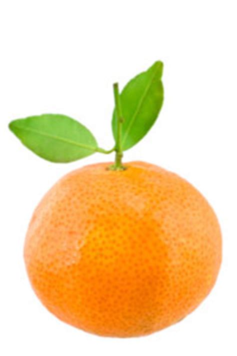 tangerine-natural-food-howstuffworks image