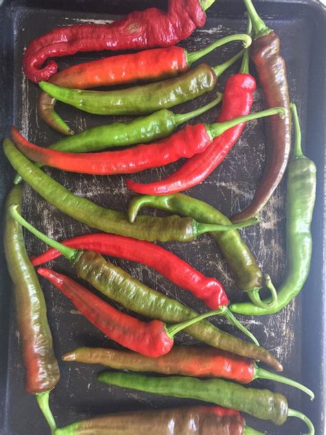 italian-long-hot-peppers-feeling-foodish image
