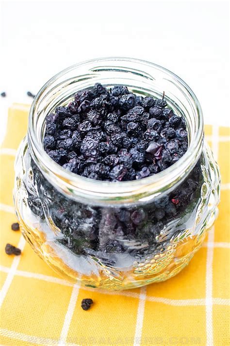how-to-make-dehydrated-blueberries-masalaherbcom image