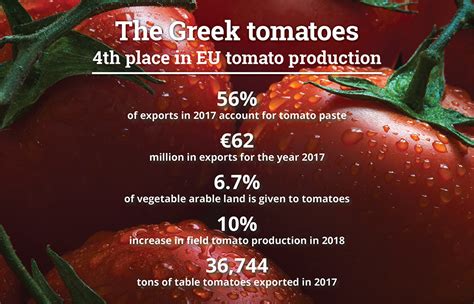 tomatoes-juicy-gems-of-the-greek-land-greek-food-news image