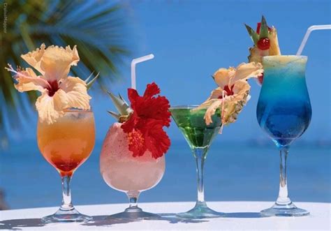 carnival-cruise-drink image