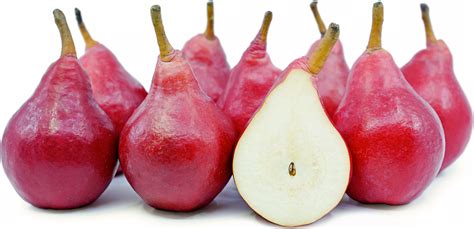 red-crimson-pears-information-recipes-and-facts image