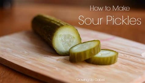fermented-sour-pickles-recipe-growing-up-gabel image