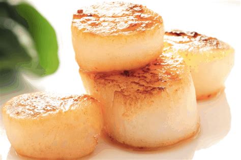 how-to-perfectly-pan-sear-scallops image