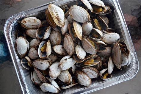 new-england-steamed-clams-guide image