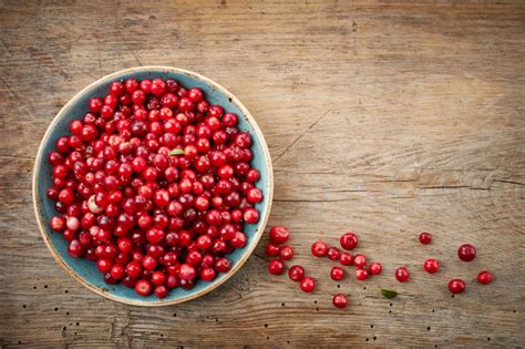 homemade-dried-cranberries-fresh-cranberry-ideas image