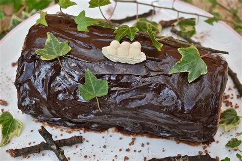 chocolate-log-10-favourite-chocolate-recipes-tin image