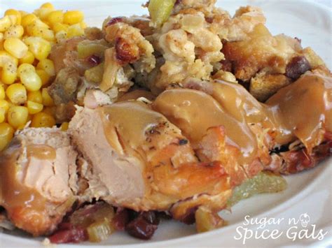 slow-cooker-turkey-and-stuffing-sugar-n-spice-gals image