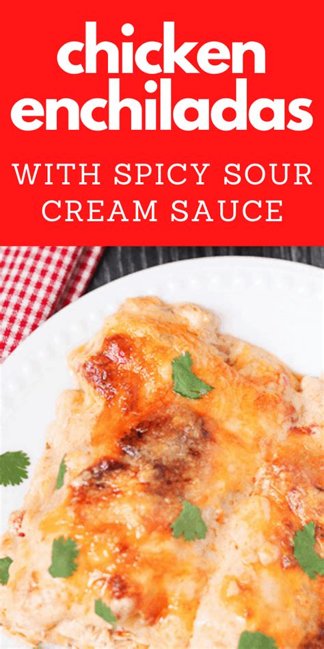 chicken-enchiladas-in-a-spicy-sour-cream-sauce-the image