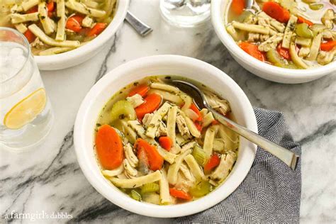 moms-homemade-chicken-noodle-soup-a-farmgirls image