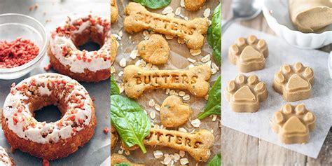 15-best-homemade-dog-treat-recipes-how-to-make image
