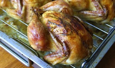 roasted-cornish-game-hens-with-garlic-herbs-and image