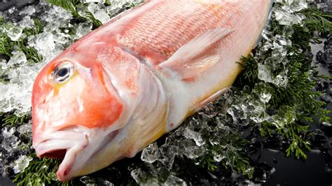 heres-why-you-should-avoid-eating-tilefish image
