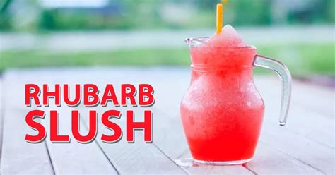 rhubarb-slush-recipe-rubarb-slush-for-adults-and-kids image
