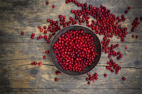 what-are-lingonberries-and-how-are-they-used-the image