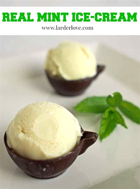 homemade-fresh-mint-ice-cream-using-mint-leaves image
