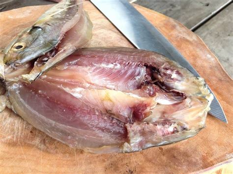 the-proper-way-to-cook-pompano-fillets-simply image