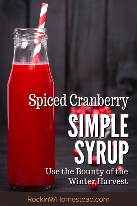 spiced-cranberry-simple-syrup-recipe-rockin-w image