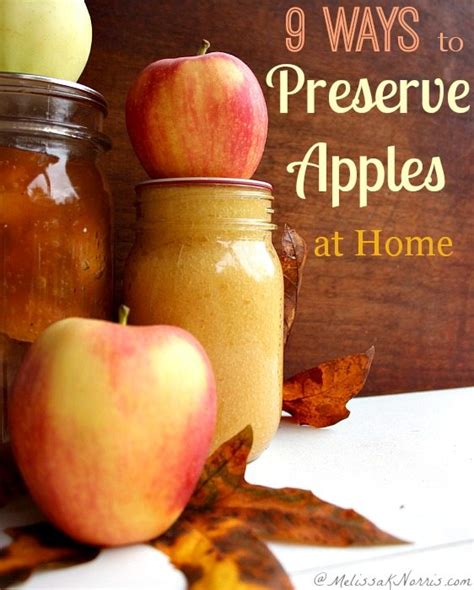 12-ways-to-preserve-apples-at-home-melissa-k-norris image