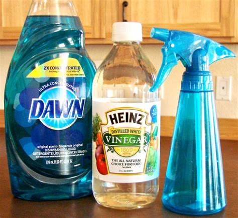 homemade-glass-cleaner-with-vinegar-miracle-cleaner image