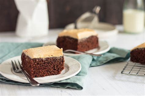 chocolate-mayonnaise-cake-with-peanut-butter-frosting image