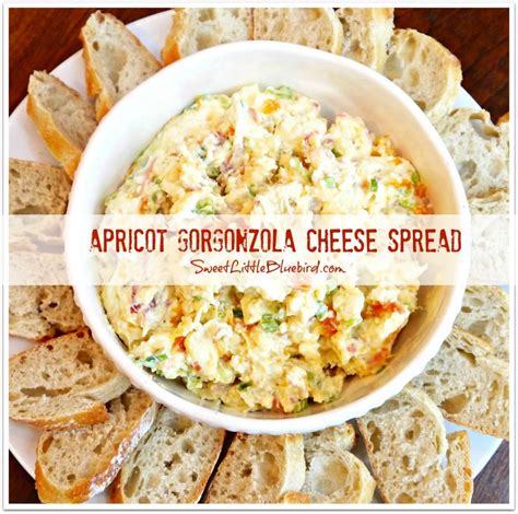 apricot-gorgonzola-cheese-spread-sweet-little image
