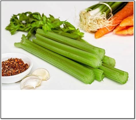 vegetable-detox-15-best-vegetables-to-detox-your-body image