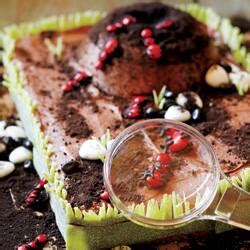 fire-ant-anthill-cake-canadian-living image