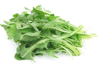 can-you-eat-dandelion-greens-raw-healthy-eating image