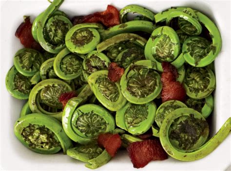 sauteed-fiddleheads-with-bacon-and-cheese image