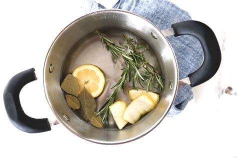 6-simmer-pot-recipes-to-make-your-home-smell-great-the image