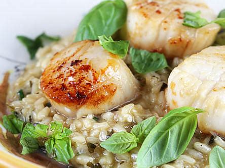 basil-risotto-with-seared-sea-scallops-tasty-kitchen image