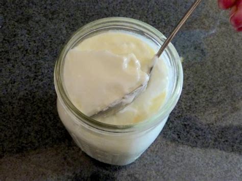 how-to-make-yogurt-a-step-by-step-guide-food image