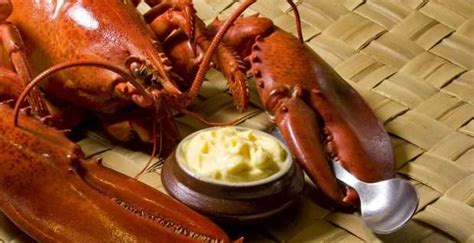lobster-was-once-a-poor-mans-food-knowledgenuts image