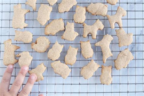 easiest-animal-crackers-recipe-yummy-toddler-food image