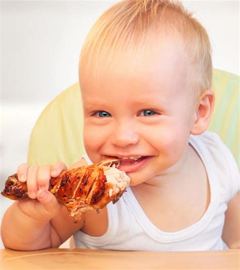 chicken-for-babies-nutritious-recipes-and-health image