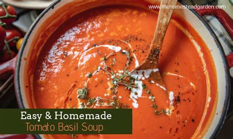 tomato-basil-soup-the-homestead-garden image