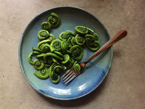 sauted-fiddlehead-ferns-recipe-the-spruce-eats image