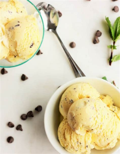 mint-chocolate-ice-cream-sustainable-cooks image