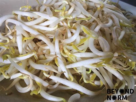 recipe-fried-dry-mee-siam-nyonya-style image