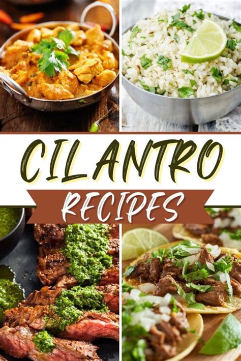 25-fresh-cilantro-recipes-with-so-much-flavor image