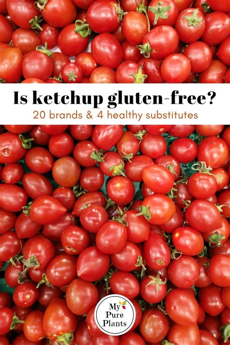 is-ketchup-gluten-free-20-safe-brands-substitutes image