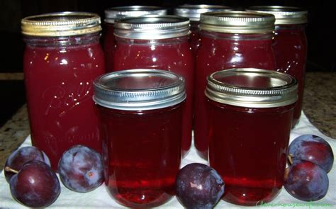 homemade-plum-syrup-recipe-clever-housewife image