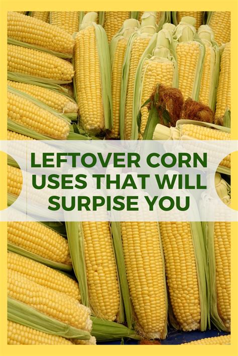 12-corn-recipes-for-leftover-corn-on-the-cob-sweet image