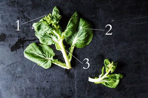 what-is-tatsoi-how-to-buy-and-use-tatsoi-greens-in image